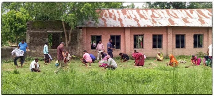 बिपी स्मृतिको अवसरमा जीराभवानीमा वृक्षारोपण